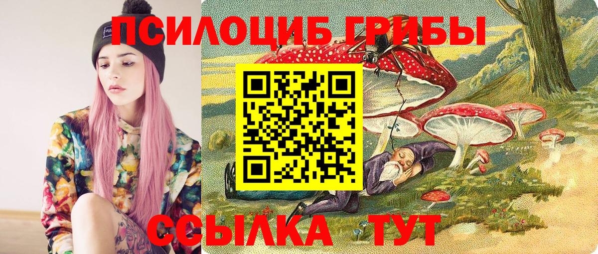 Псилоцибиновые грибы Psilocybe Кириши