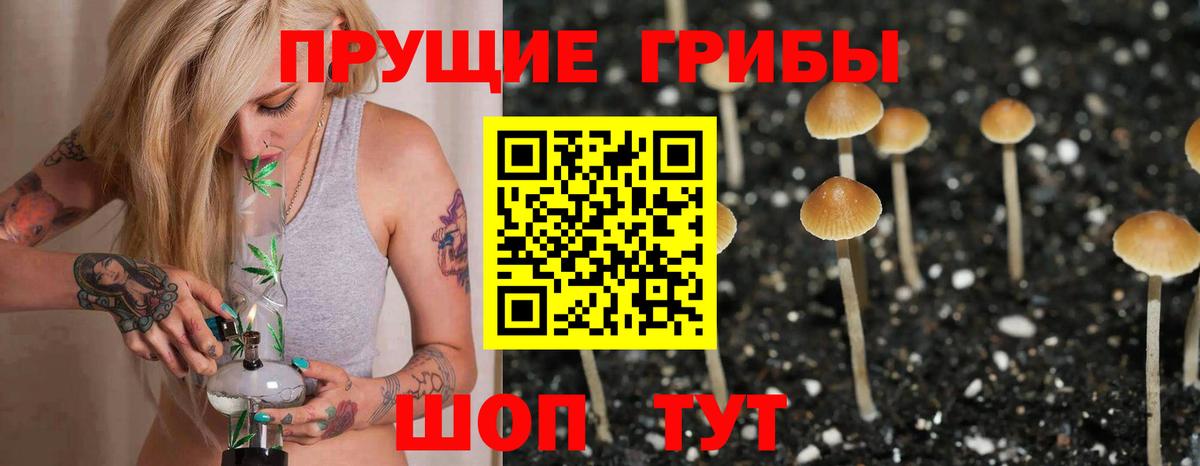 Псилоцибиновые грибы MAGIC MUSHROOMS  Вход с VPN  Кириши 